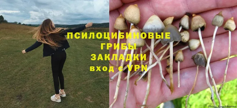 Псилоцибиновые грибы Magic Shrooms  OMG ONION  дарк нет наркотические препараты  Бронницы 